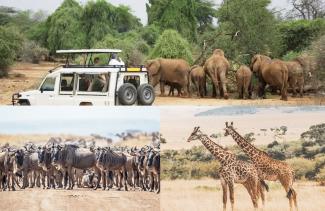 IALE 2023 Excursions and Tours